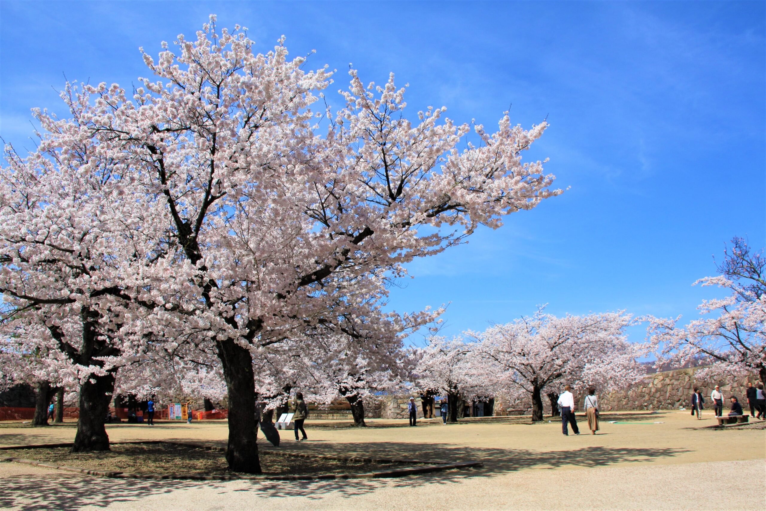 🏛️ 빛시 문화센터(히카리시분카센타) 이미지 7